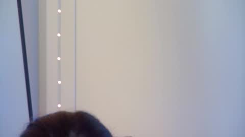 GentleRossi online show from October 1, 2025, 4:02 pm