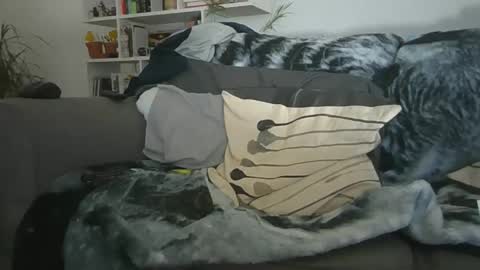 Snapshot of geon2xx chatting on December 19, 2025, 11:28 am Geon online show from December 19, 2025, 11:28 am