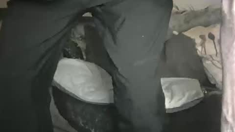 Snapshot of geon2xx chatting on February 1, 2026, 11:14 pm Geon online show from February 1, 2026, 11:14 pm