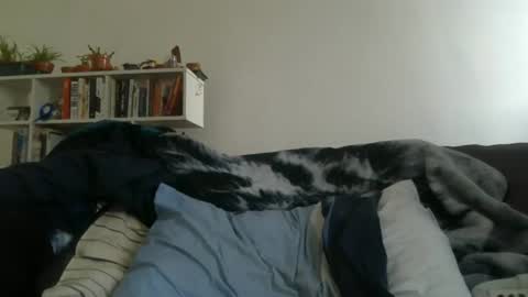 Snapshot of geon2xx chatting on March 27, 2026, 7:25 am Geon online show from March 27, 2026, 7:25 am