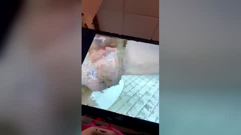 georgewithahj online show from April 18, 2026, 12:58 am