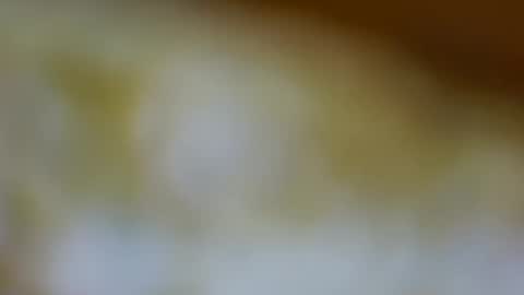 Snapshot of germanandy71 chatting on November 3, 2025, 1:34 pm germanandy71 online show from November 3, 2025, 1:34 pm