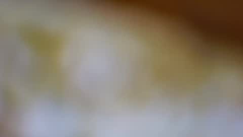 Snapshot of germanandy71 chatting on November 10, 2025, 9:19 am germanandy71 online show from November 10, 2025, 9:19 am