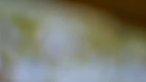 Snapshot of germanandy71 chatting on November 17, 2025, 12:00 pm germanandy71 online show from November 17, 2025, 12:00 pm