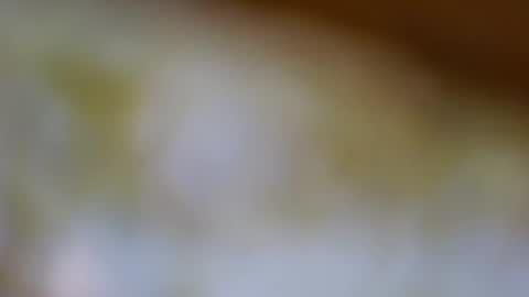 Snapshot of germanandy71 chatting on November 20, 2025, 8:14 am germanandy71 online show from November 20, 2025, 8:14 am