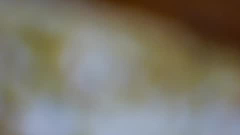 Snapshot of germanandy71 chatting on November 23, 2025, 8:58 am germanandy71 online show from November 23, 2025, 8:58 am