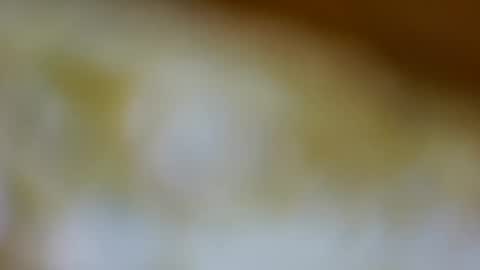 Snapshot of germanandy71 chatting on November 26, 2025, 9:10 am germanandy71 online show from November 26, 2025, 9:10 am