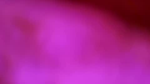 Snapshot of germanandy71 chatting on December 1, 2025, 8:52 am germanandy71 online show from December 1, 2025, 8:52 am