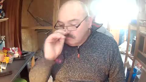 germany_50 online show from February 8, 2025, 3:53 pm