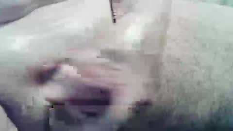 ghost1805 online show from December 10, 2024, 2:05 am