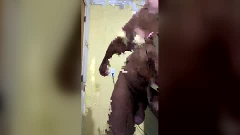 gifted online show from April 6, 2026, 7:31 am