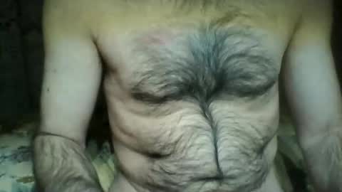 Snapshot of gigigegio chatting on January 14, 2025, 12:11 am gigigegio sky online show from January 14, 2025, 12:11 am