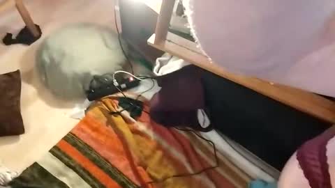 Tumnusus online show from February 27, 2025, 7:55 am