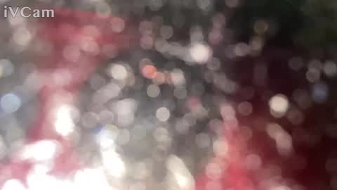 Snapshot of ginganinga13 chatting on January 12, 2025, 10:33 pm GingerNinja online show from January 12, 2025, 10:33 pm