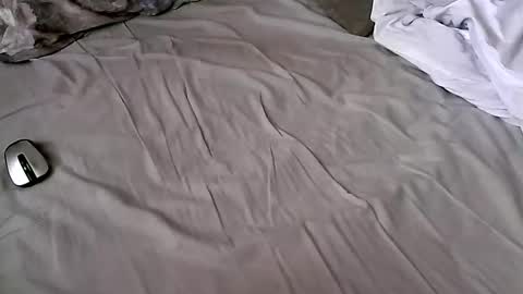 giorgibbbgioribbb online show from February 22, 2025, 7:56 am