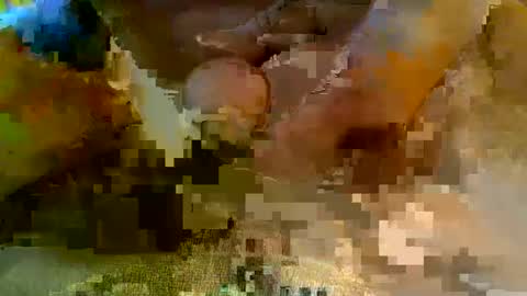 girafsnoop online show from January 5, 2025, 9:15 am