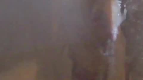 Snapshot of girlscallme666 chatting on March 7, 2026, 10:40 pm lovegirlscallme online show from March 7, 2026, 10:40 pm
