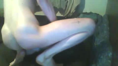 girthdoctor online show from December 3, 2025, 1:02 am