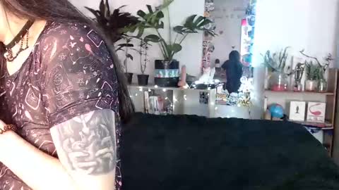 Snapshot of give_me_orgasms chatting on December 2, 2024, 2:31 am Nice to meet you my name is Heyli online show from December 2, 2024, 2:31 am