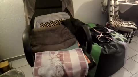 Snapshot of gjslave chatting on September 11, 2025, 7:47 pm gjslave online show from September 11, 2025, 7:47 pm