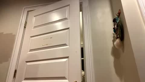 Lets get wierd online show from October 24, 2025, 3:14 am