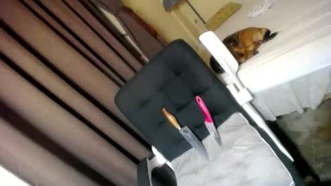 glenndou_daxs online show from December 20, 2025, 6:37 pm