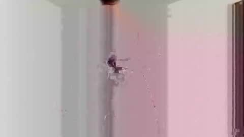 Snapshot of goblue4133 chatting on December 25, 2024, 5:37 am goblue4133 online show from December 25, 2024, 5:37 am