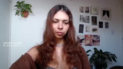 Snapshot of golden_alaska chatting on September 24, 2025, 12:08 pm Alaska online show from September 24, 2025, 12:08 pm