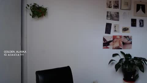 Snapshot of golden_alaska chatting on October 8, 2025, 1:20 pm Alaska online show from October 8, 2025, 1:20 pm