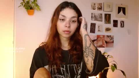 Snapshot of golden_alaska chatting on October 29, 2025, 11:56 am Alaska online show from October 29, 2025, 11:56 am