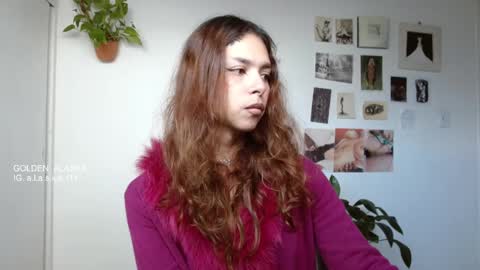 Snapshot of golden_alaska chatting on November 7, 2025, 11:54 am Alaska online show from November 7, 2025, 11:54 am