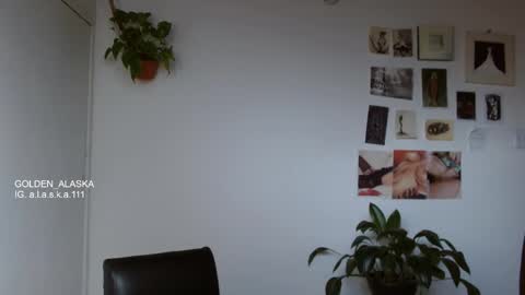 Snapshot of golden_alaska chatting on November 9, 2025, 8:07 pm Alaska online show from November 9, 2025, 8:07 pm