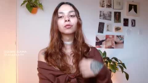 Snapshot of golden_alaska chatting on November 11, 2025, 11:54 am Alaska online show from November 11, 2025, 11:54 am