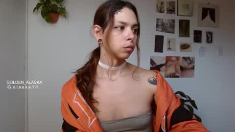 Snapshot of golden_alaska chatting on November 12, 2025, 11:54 am Alaska online show from November 12, 2025, 11:54 am