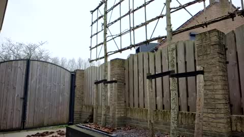 Snapshot of goldenelixxxir chatting on February 10, 2025, 10:09 am online show from February 10, 2025, 10:09 am