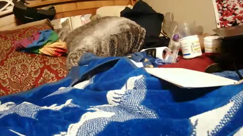 Juicy Booty online show from December 28, 2024, 3:59 pm