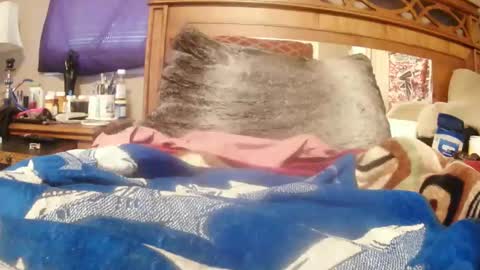 Juicy Booty online show from February 23, 2025, 2:46 pm