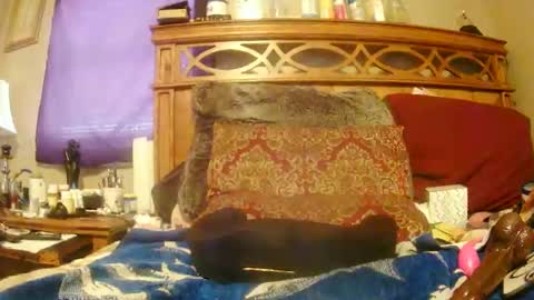 Juicy Booty online show from February 27, 2025, 6:42 pm