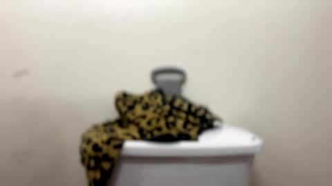Snapshot of gooddick4206969 chatting on May 31, 2026, 12:12 pm Good Dick online show from May 31, 2026, 12:12 pm