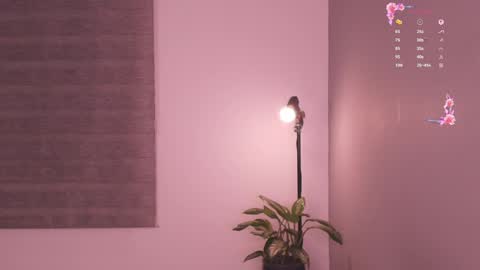 Snapshot of gorgeous_brunette chatting on May 19, 2026, 6:31 am Rose online show from May 19, 2026, 6:31 am