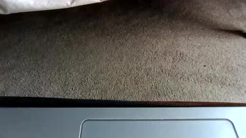 Snapshot of gowiththeflow37 chatting on May 3, 2026, 8:37 pm watch me stroke online show from May 3, 2026, 8:37 pm