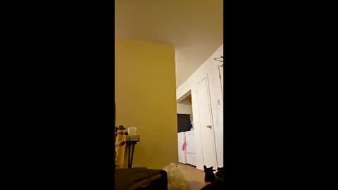 greenvertgo online show from December 15, 2025, 12:59 am