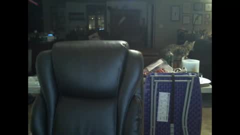 Snapshot of greystone844 chatting on December 20, 2024, 1:11 pm David online show from December 20, 2024, 1:11 pm