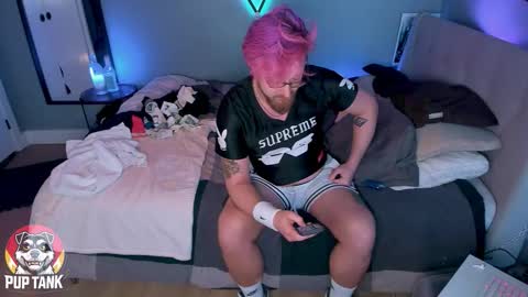 Alpha pup online show from November 11, 2025, 10:21 pm