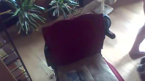 Snapshot of gssikstyfor chatting on July 26, 2026, 10:55 am Guido online show from July 26, 2026, 10:55 am