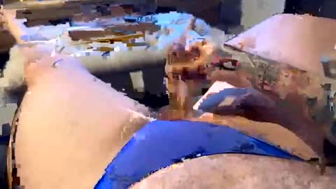 gt79802068 online show from January 11, 2026, 6:07 am