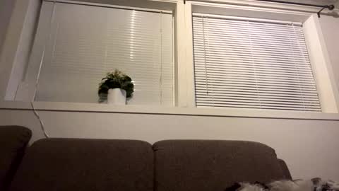 scandixxxs Cam online show from October 20, 2025, 1:06 am