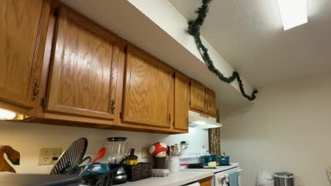 Snapshot of gucciboi4 chatting on November 23, 2025, 7:35 pm gucciboi4 online show from November 23, 2025, 7:35 pm