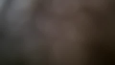 Snapshot of guydj09 chatting on July 14, 2026, 7:13 am guydj09 online show from July 14, 2026, 7:13 am