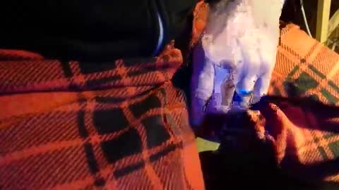 H2omygod online show from January 22, 2025, 11:01 am